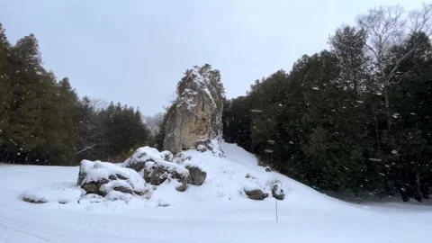 Snowy rock formation in a winter forest with gentle snowfall on a cloudy day Stock Footage 325477389
