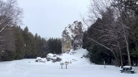 Snowy rock formation in winter forest with falling snow and pine trees landscape Stock Footage 325477442