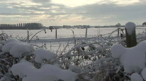 Snowy rural scene. Stock Footage 1088830