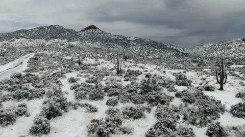 Snowy Saguaro Stock-Footage 147415142