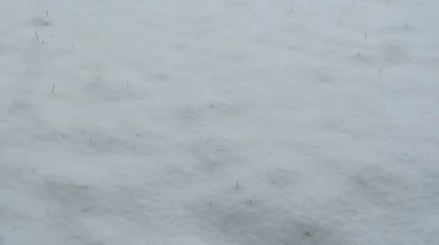 Snowy Scene Vidéo 22226448