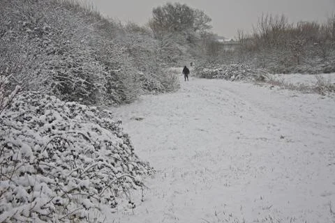 A snowy scene Stock Photos