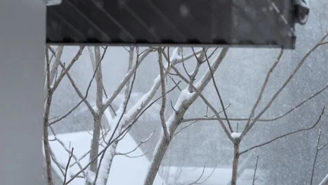 Snowy scene with a tree covered in snow Stock Footage 304564167