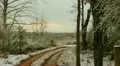snowy scene on trees and mountain background 02 HD 影片