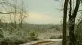 snowy scene on trees and mountain background HD Footage