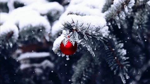 Snowy scenery Stock Footage 233177367
