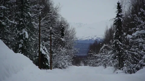 Snowy Scenic Road Surrounded by Trees with Mountain in the Distance Stock Footage 38080353