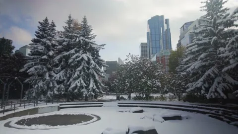 A snowy shot of Calgary Stock Footage 142653897