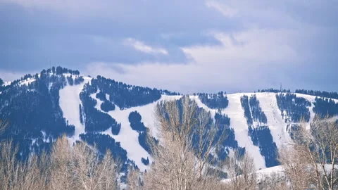 Snowy Ski Slopes and Pine Trees Stock Footage 313453675