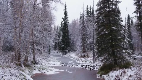 Snowy Slough 動画素材 294793293