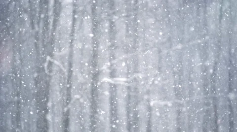 Snowy Snow Blizzard blowing Stock Footage 34390088