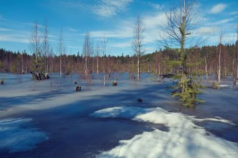Snowy  spring landscape Foto stock