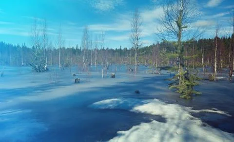 Snowy  spring landscape Stock Photos