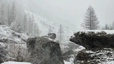 Snowy spring weather in the mountain forest.Mountain river under falling snow. Stock Footage 244710285