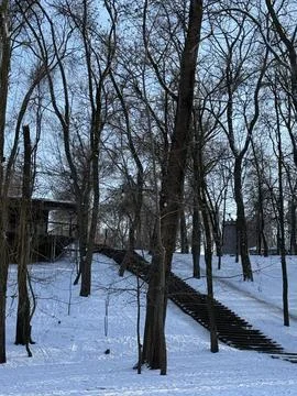 Snowy Steps Through a Bare Forest Foto stock
