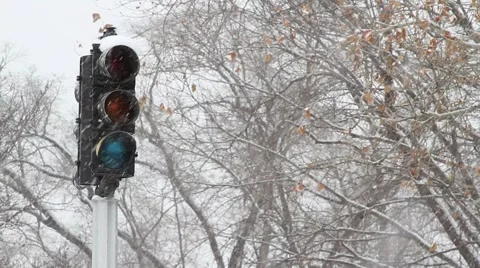 Snowy Stoplight 1 動画素材 3444911