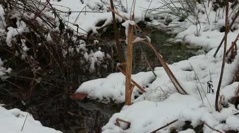 Snowy Stream Close Up Stock Footage 10577465