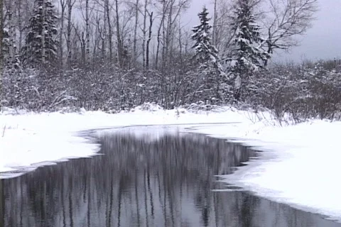 Snowy Stream 動画素材 265326