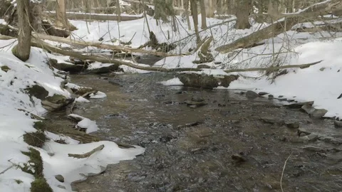 Snowy stream Stock Footage 120920944