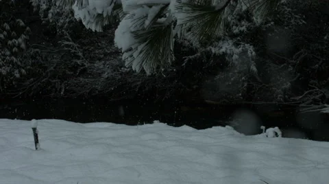 Snowy Stream Still Stock Footage 47665464