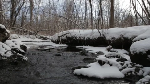 Snowy stream in winter Stock Footage 50962502