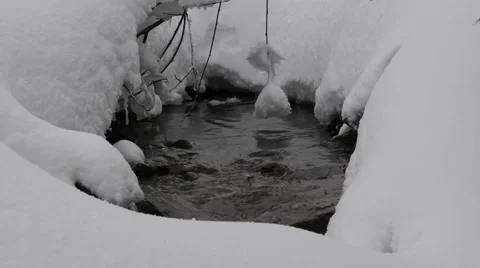 Snowy Streamlet Winter Stock Footage 59831663