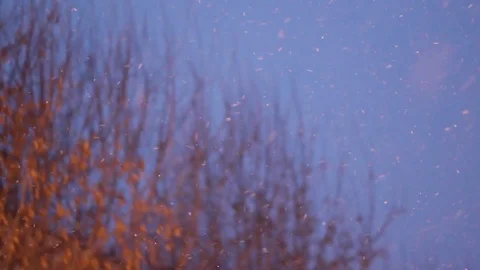 Snowy street 動画素材 70943609