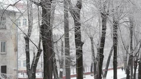 Snowy street Stock Footage 158692521