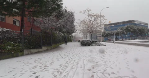 A snowy street with a tree in the middle Stock-Footage 327792545