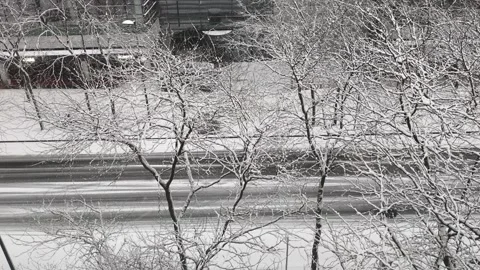 Snowy Street with Trees and Sidewalks Seen from Window Vidéo 336500116
