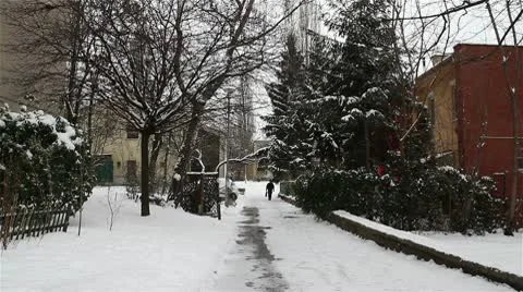 Snowy Suburb 04 walking Vidéo 10745527