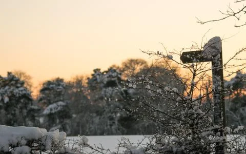 Snowy Sunset Stock Photos