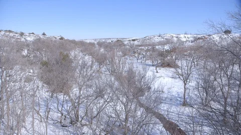Snowy terrain with dead trees Stock Footage 104895400