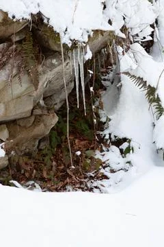 Snowy terrain Stock Photos