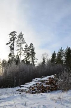 Snowy timber stack Stock Photos