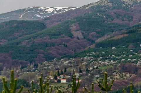 Snowy top, springtime foot of the mountain, glade, forest and house Stock Photos