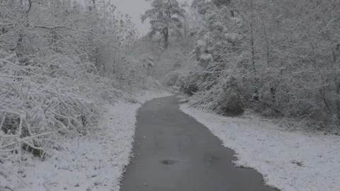 Snowy Trail Stock-Footage 168214946