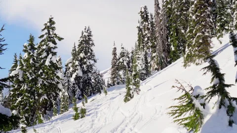 Snowy Trail Stock-Footage 315114821