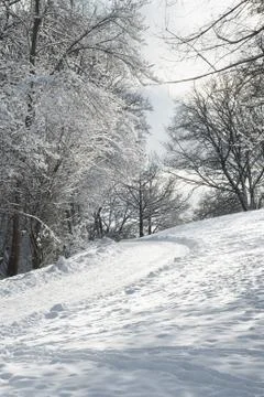 Snowy trail Stock Photos
