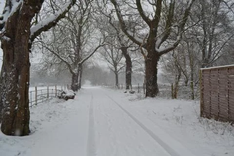 Snowy trail 스톡 사진