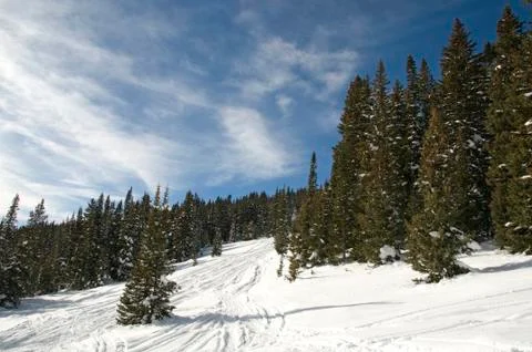 Snowy trail Stock Photos