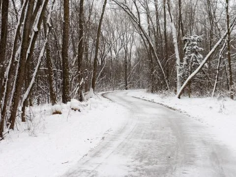 Snowy Trail through the Forest Stock Photos
