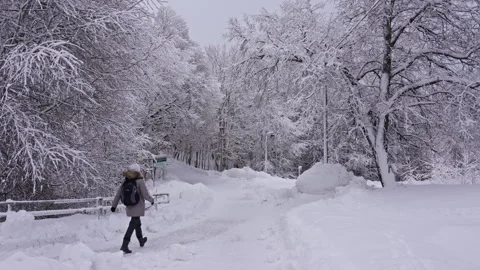 Snowy trail winding through forest as person walks by on slow motion Vidéo 298644551