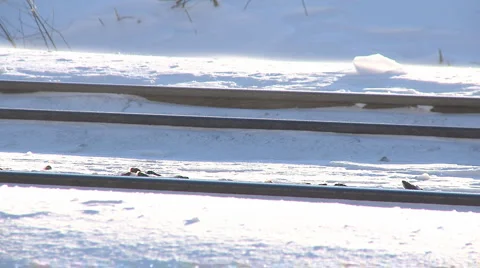 Snowy train tracks Stock Footage 2553492