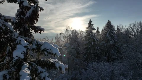 Snowy tree with beautiful sky Vídeos de archivo 258462058