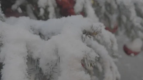 Snowy Tree Branch 4k Stock Footage 124574723