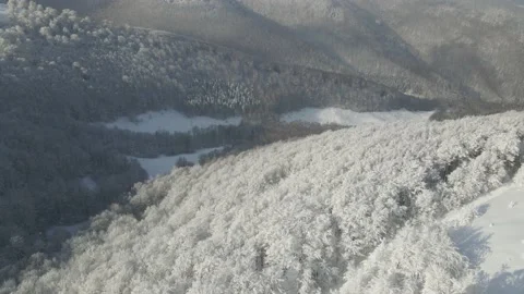 Snowy tree branch in a view of the Stock Footage 153803714