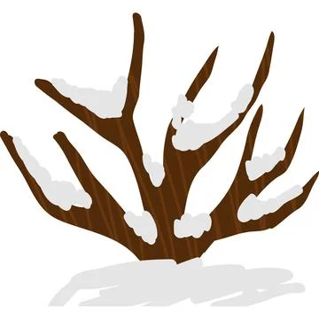 Snowy tree icon winter time vector isolated 库存插图
