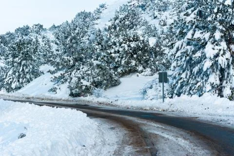 Snowy trees and icy road. Stock Photos