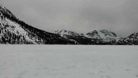 Snowy Trees and Mountains with Overcast and Movement of Snow in Foreground Stock Footage 142317618